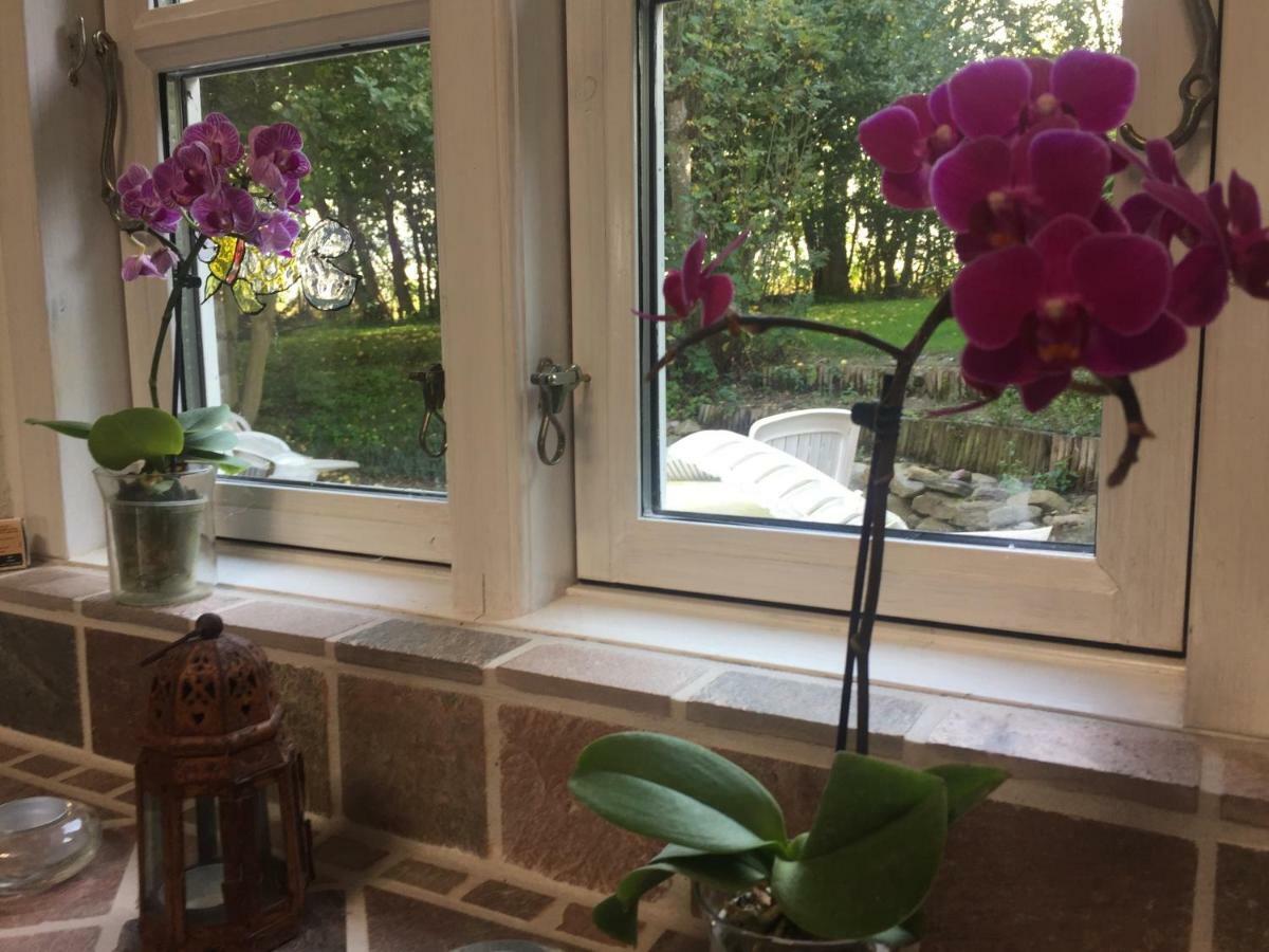 Rosenlund Bed & Breakfast Skovsgårde 외부 사진