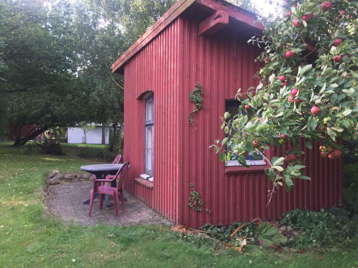 Rosenlund Bed & Breakfast Skovsgårde 외부 사진
