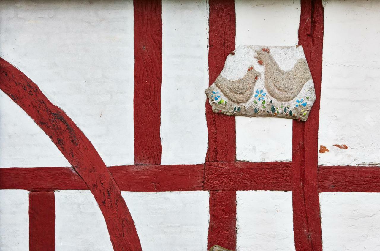 Rosenlund Bed & Breakfast Skovsgårde 외부 사진