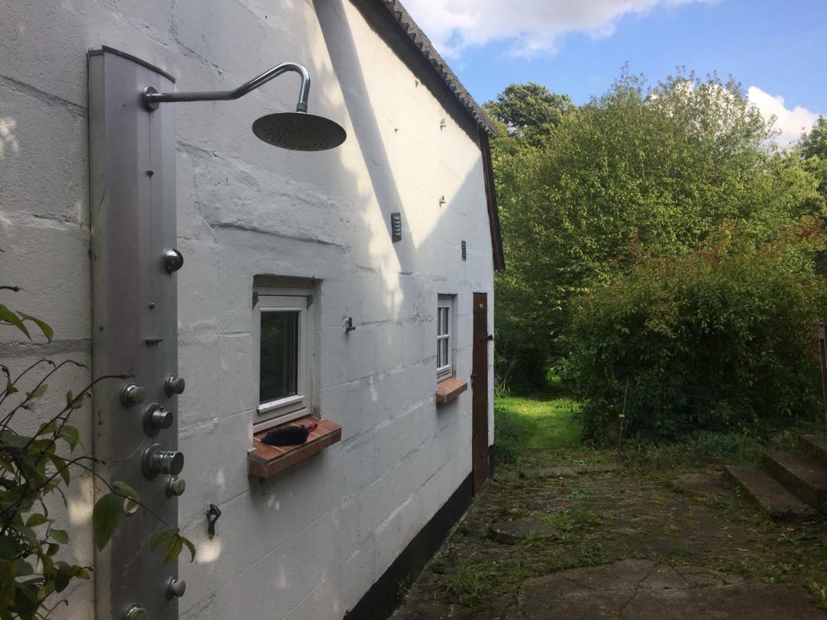 Rosenlund Bed & Breakfast Skovsgårde 외부 사진